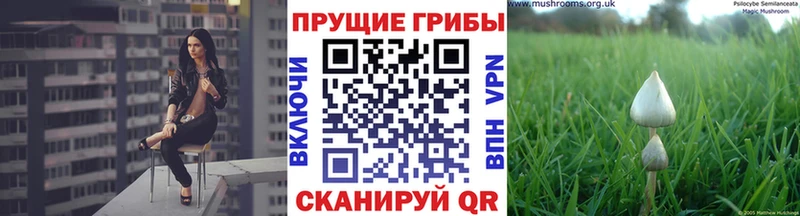 Псилоцибиновые грибы прущие грибы MEGA зеркало Полтавская