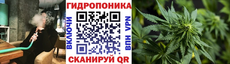 Каннабис OG Kush Полтавская